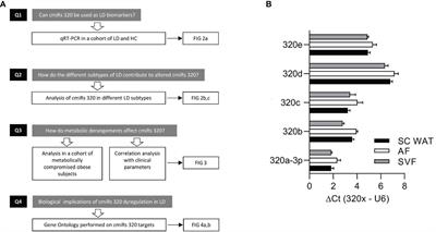 Circulating Levels of MiRNAs From 320 Family in Subjects With Lipodystrophy: Disclosing Novel Signatures of the Disease